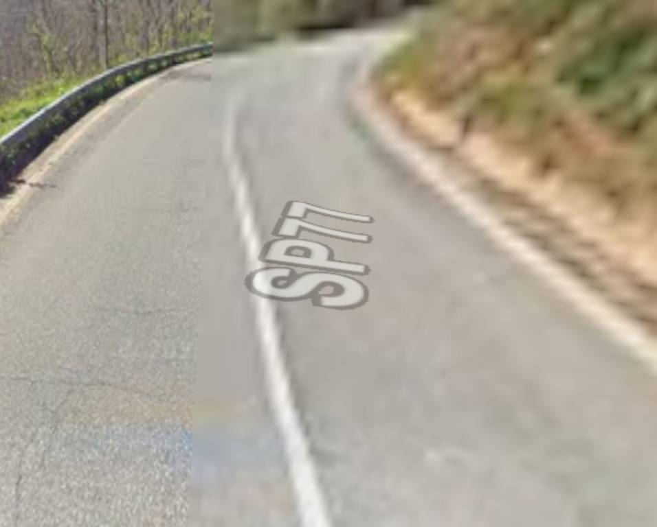 immagine annuncio 12 di 13