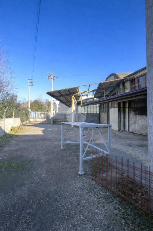 immagine annuncio 7 di 11