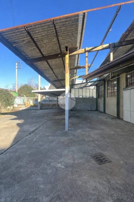 immagine annuncio 9 di 11