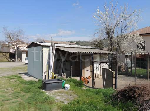 immagine annuncio 9 di 11