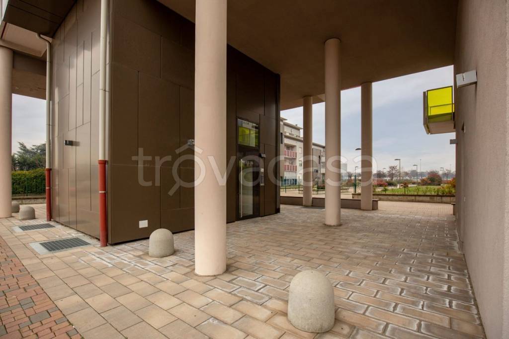 immagine annuncio 5 di 15