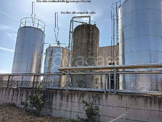 immagine annuncio 8 di 11