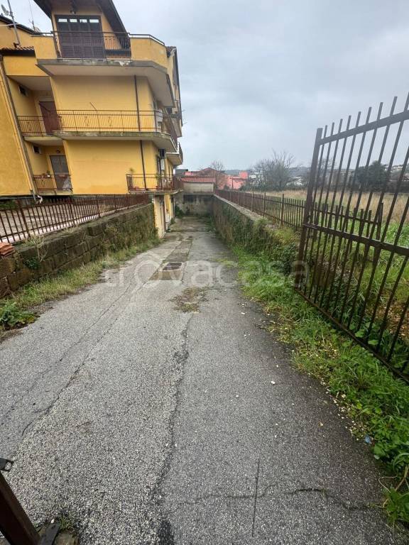 immagine annuncio 5 di 6