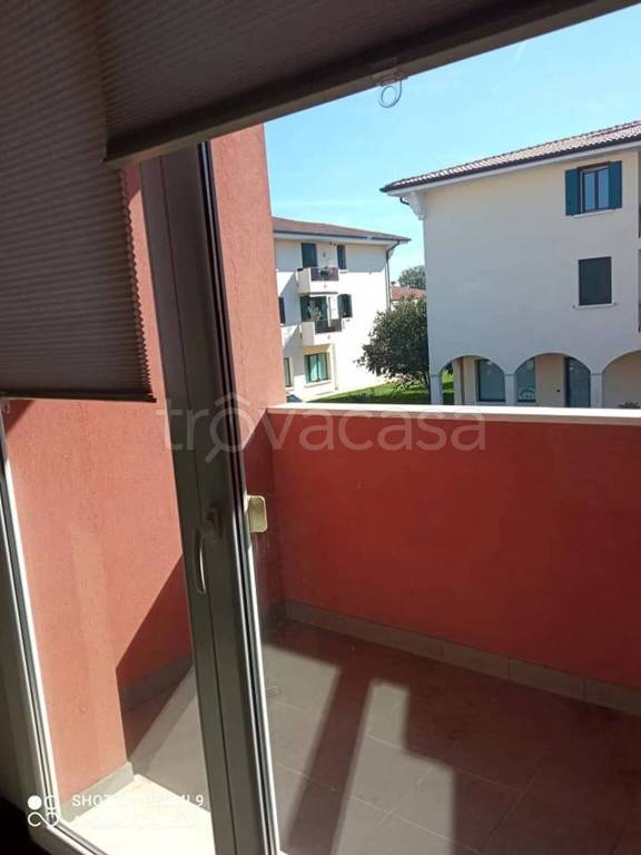 immagine annuncio 2 di 8