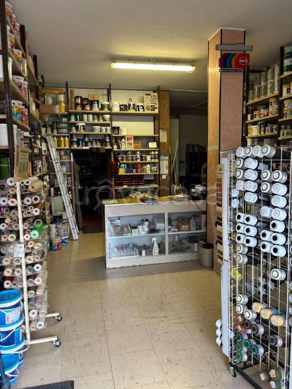 immagine annuncio 5 di 12