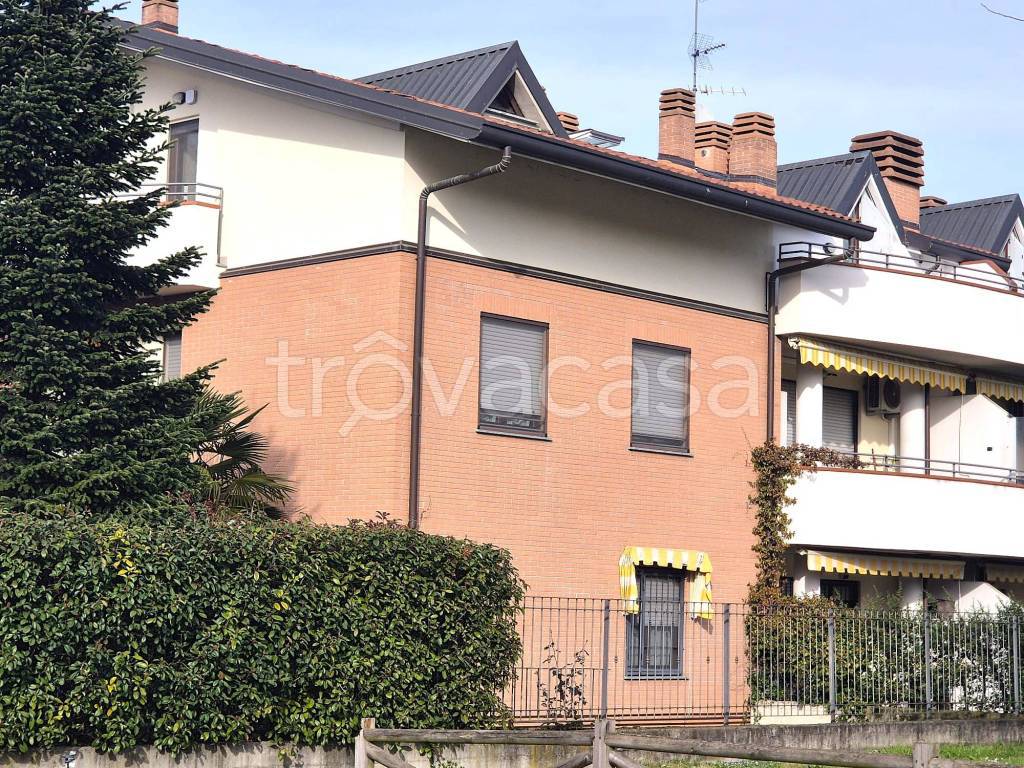 immagine annuncio 3 di 14