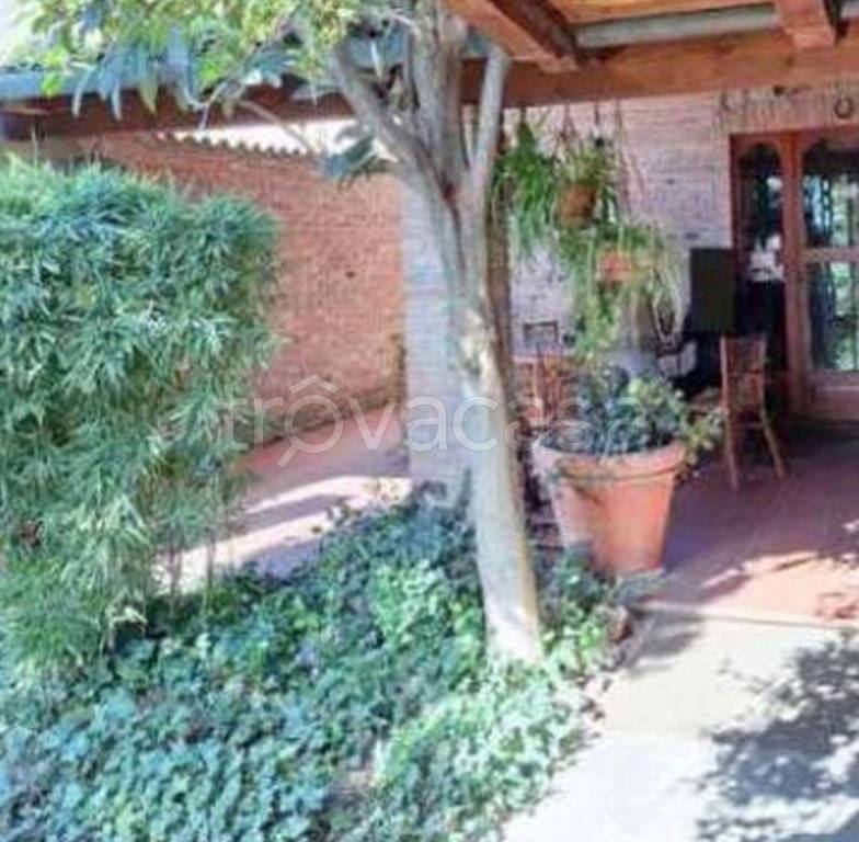 immagine annuncio 6 di 14