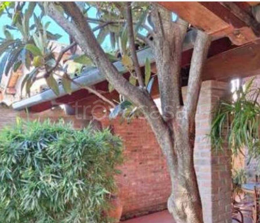 immagine annuncio 8 di 14