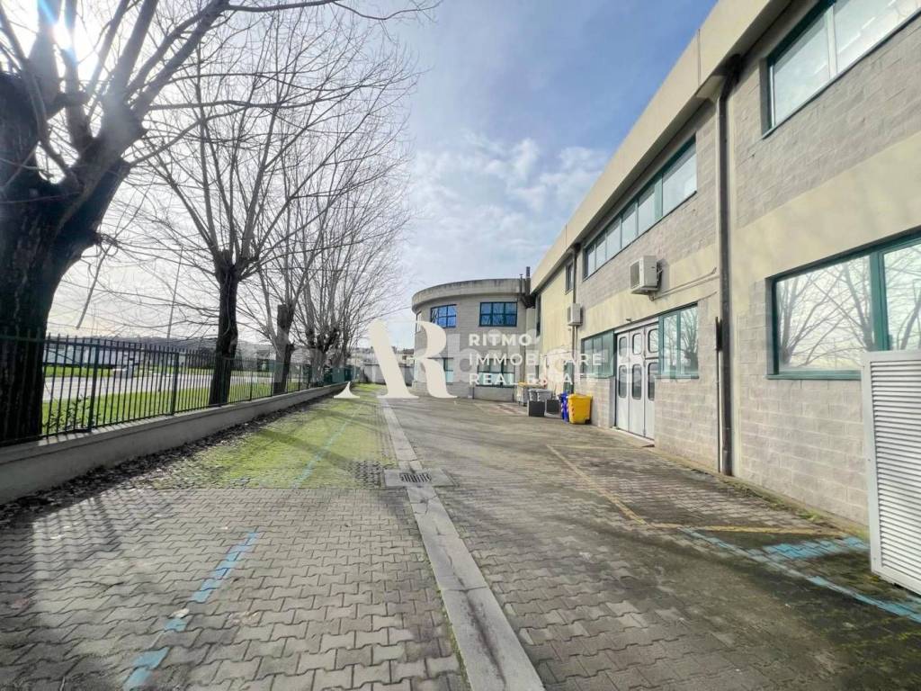 immagine annuncio 6 di 15