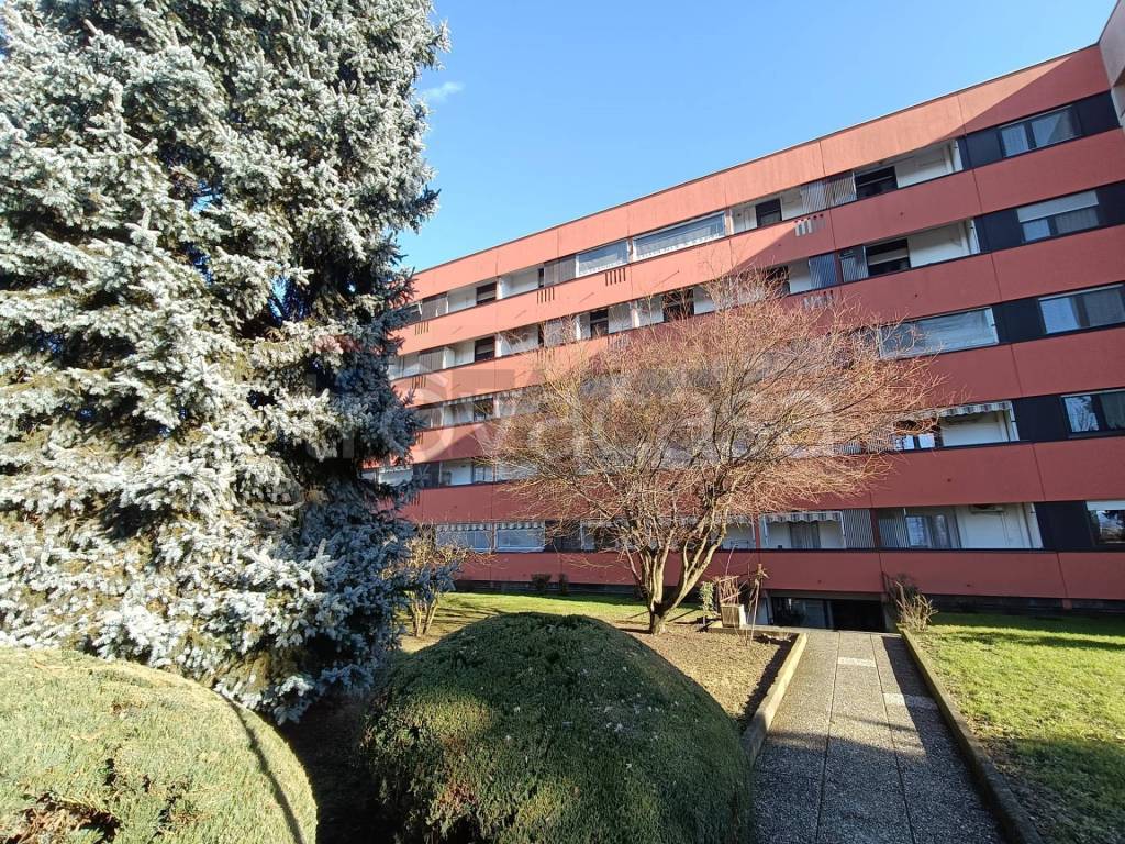 immagine annuncio 2 di 15