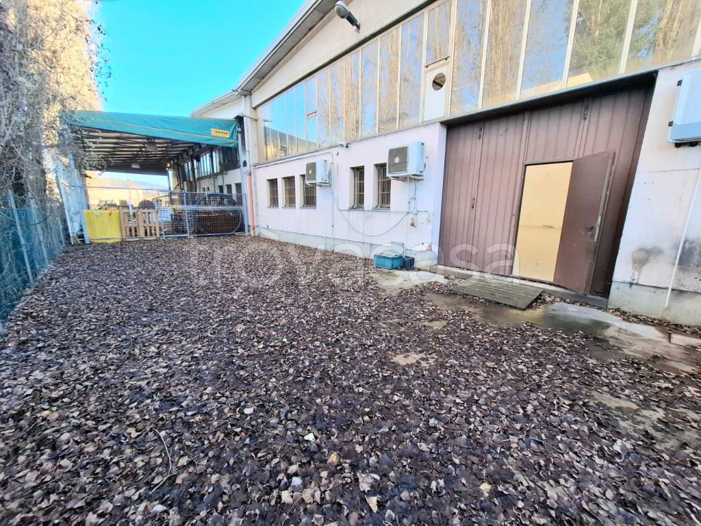 immagine annuncio 14 di 15