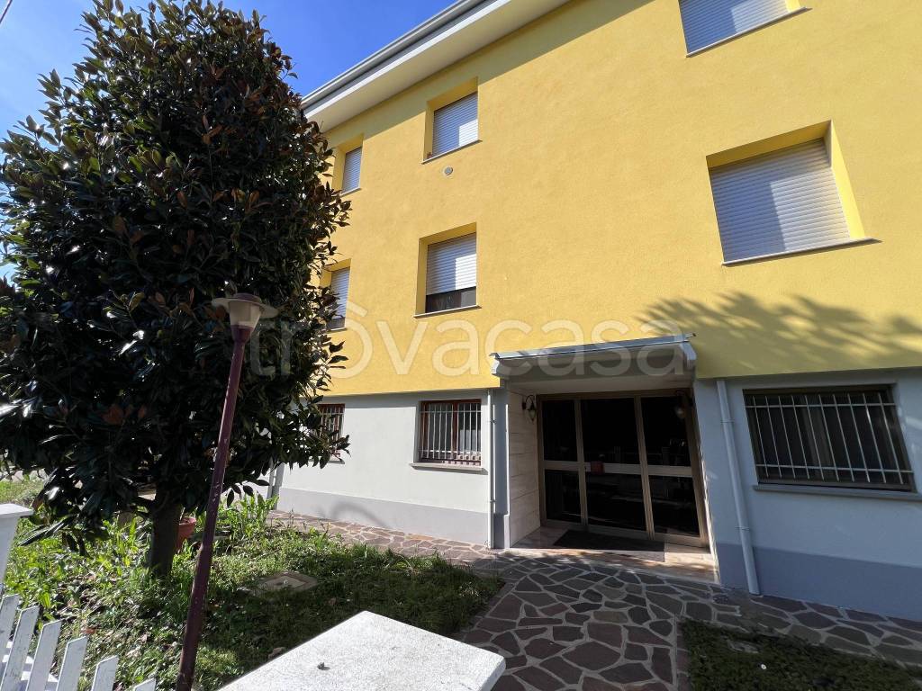 immagine annuncio 3 di 8