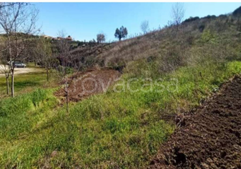 immagine annuncio 3 di 12