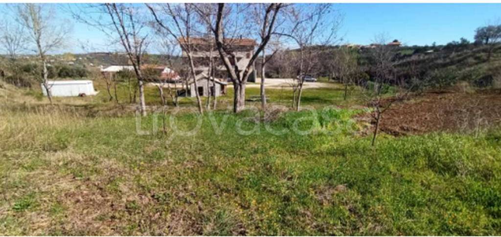 immagine annuncio 7 di 12