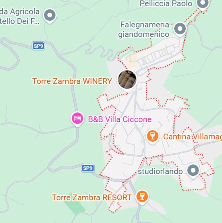 immagine annuncio 11 di 12