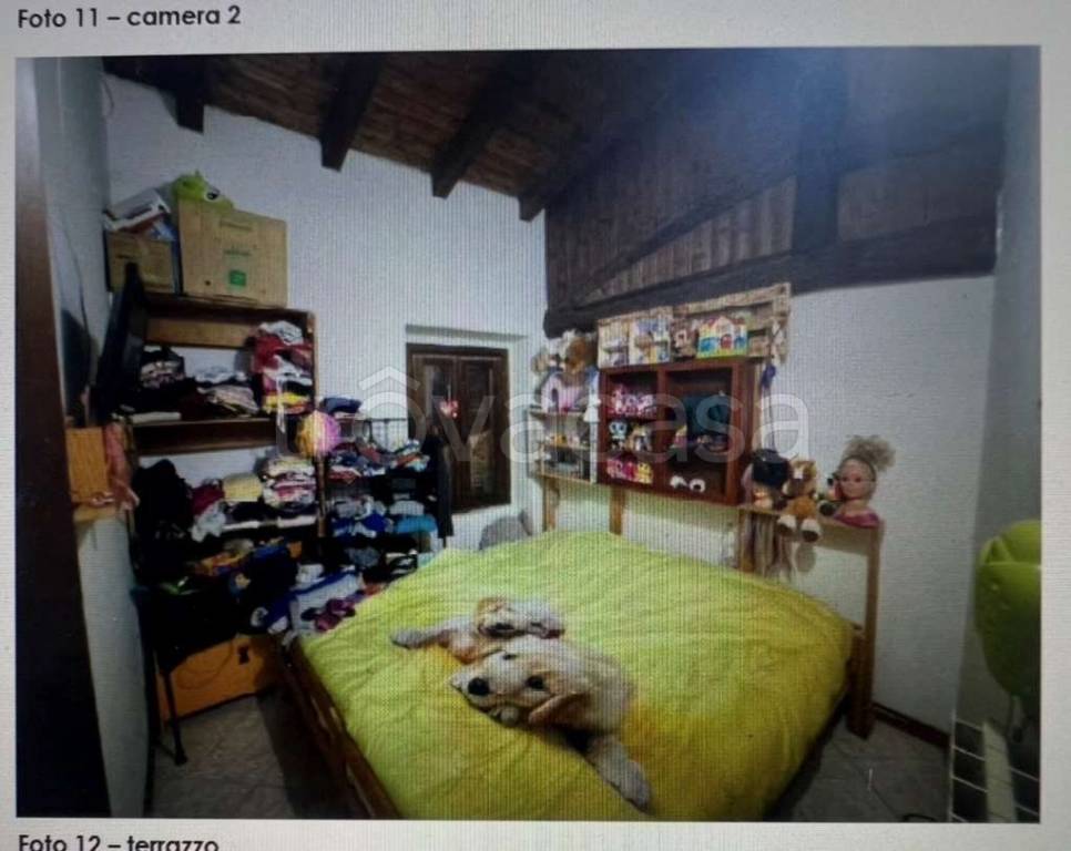 immagine annuncio 10 di 13