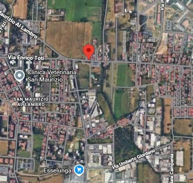 immagine annuncio 6 di 13