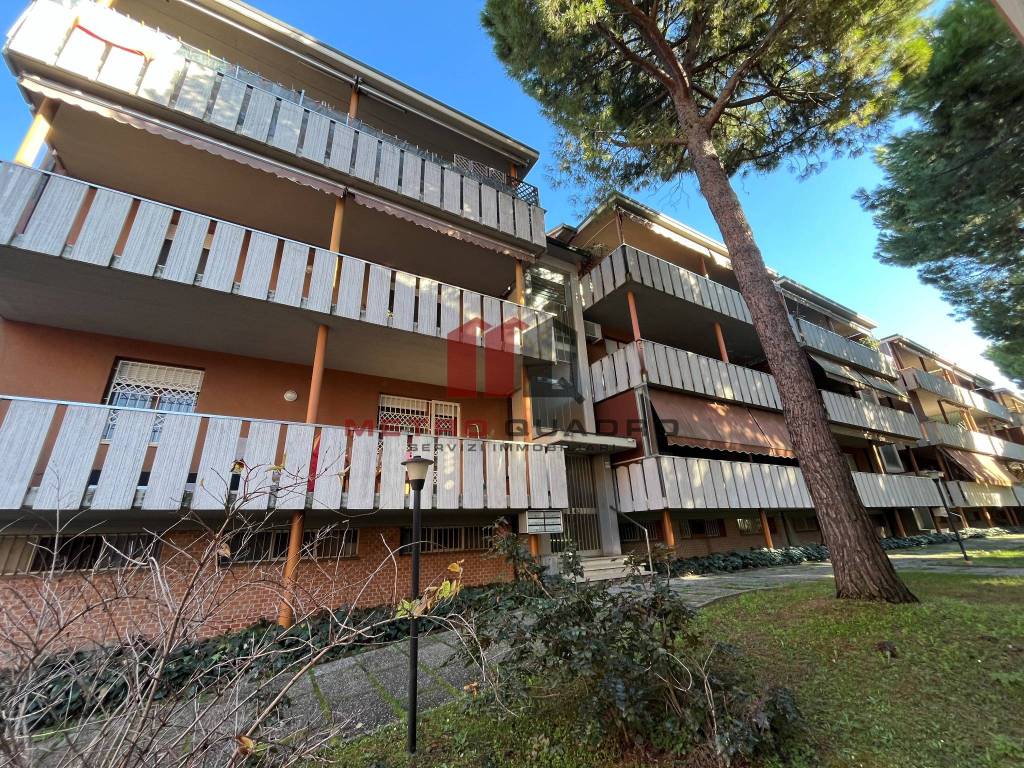 immagine annuncio 1 di 8