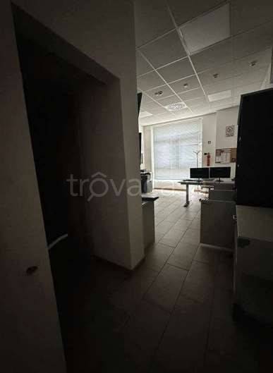 immagine annuncio 4 di 14