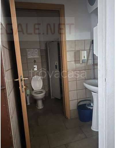 immagine annuncio 7 di 14