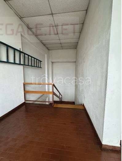 immagine annuncio 11 di 14