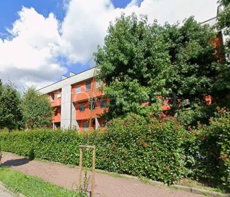 immagine annuncio 1 di 14