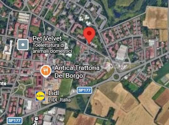 immagine annuncio 7 di 14