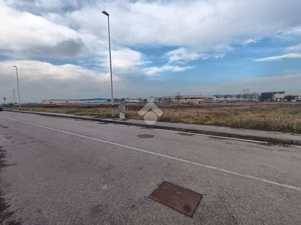 immagine annuncio 5 di 9