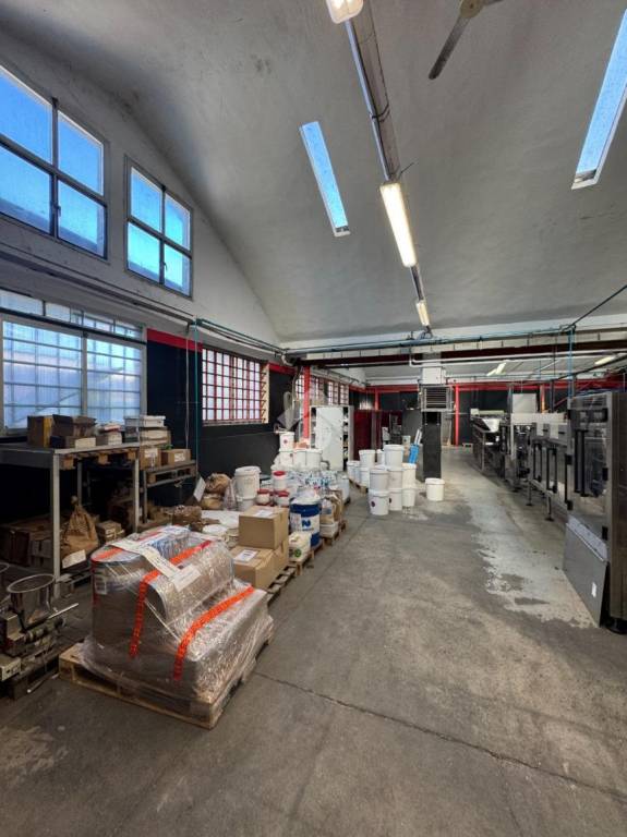 immagine annuncio 3 di 10