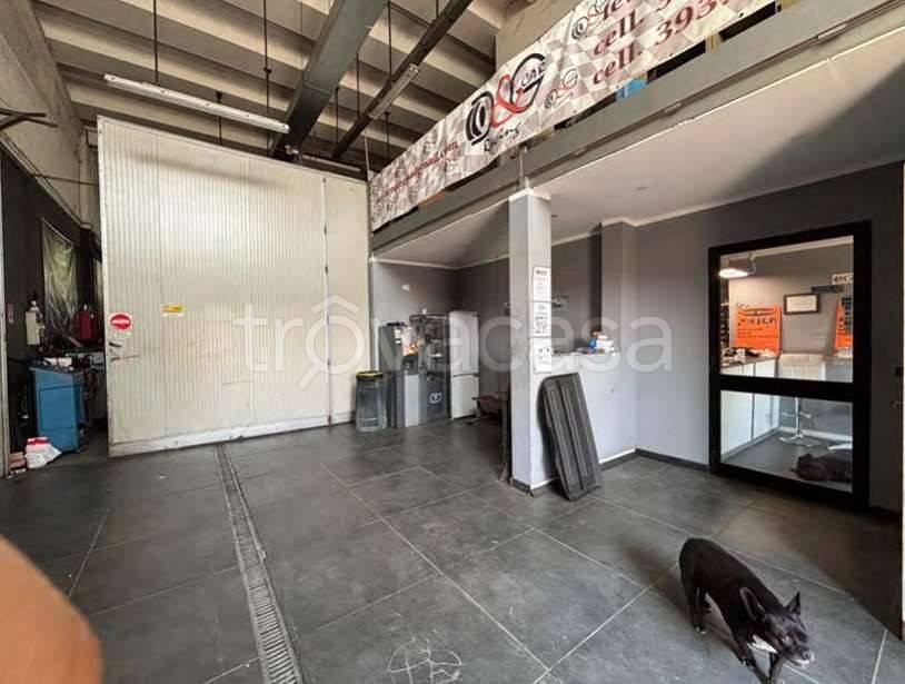 immagine annuncio 2 di 15