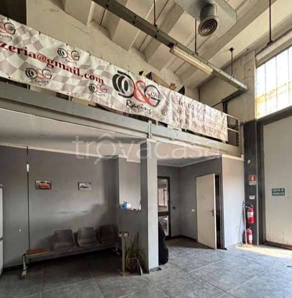 immagine annuncio 3 di 15