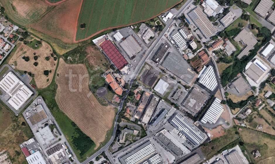 immagine annuncio 4 di 8