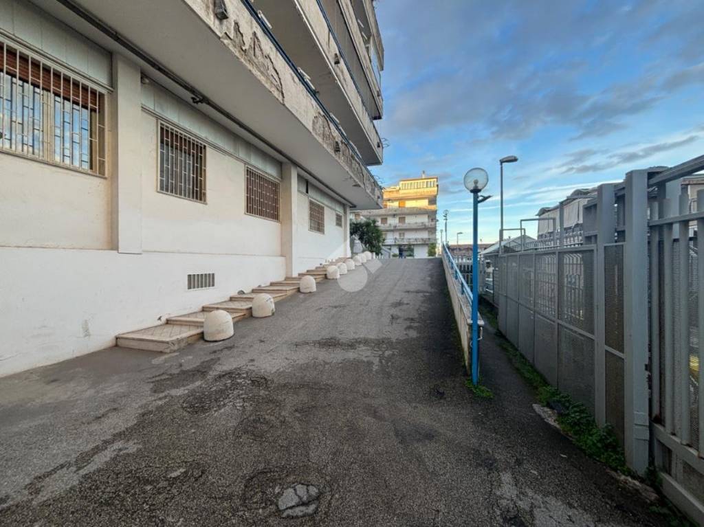 immagine annuncio 6 di 13