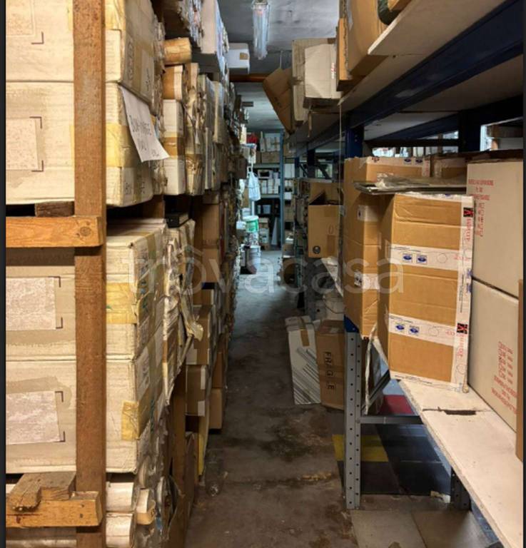 immagine annuncio 9 di 12