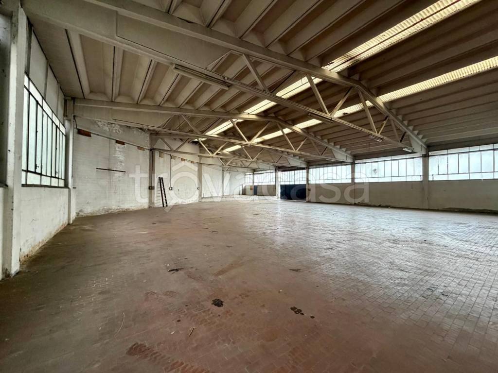 immagine annuncio 4 di 12