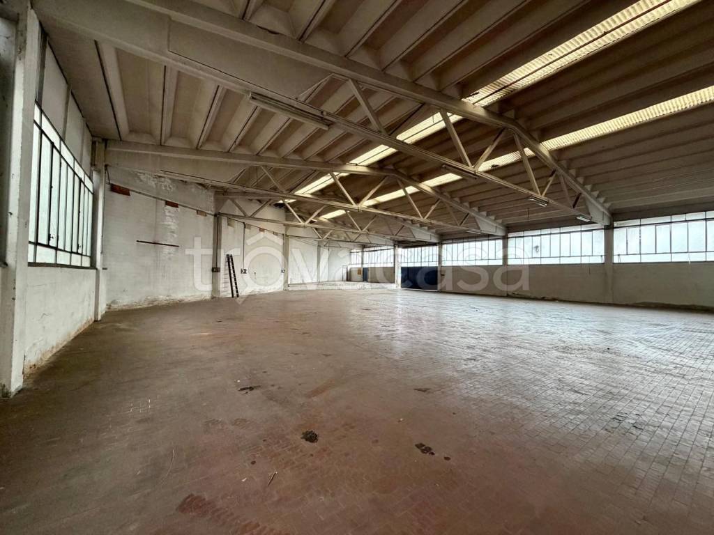 immagine annuncio 5 di 12