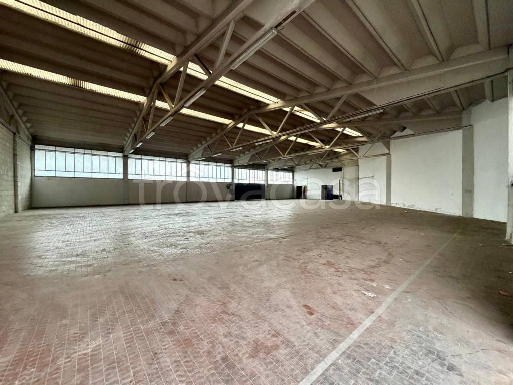 immagine annuncio 8 di 12