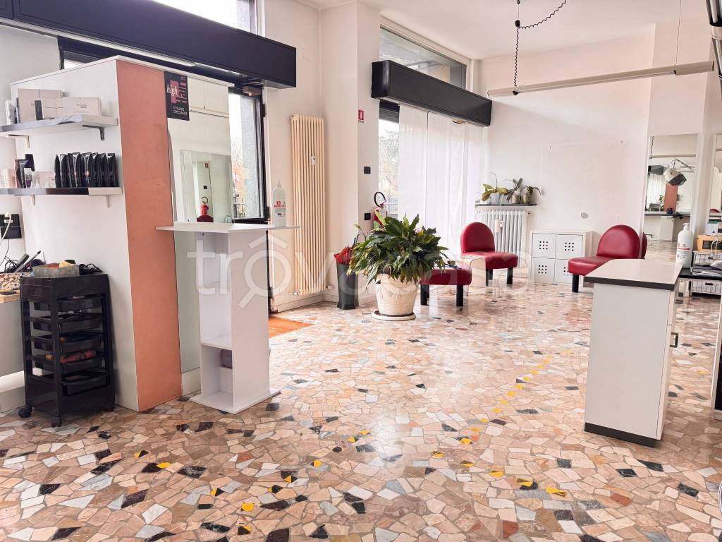 immagine annuncio 2 di 12