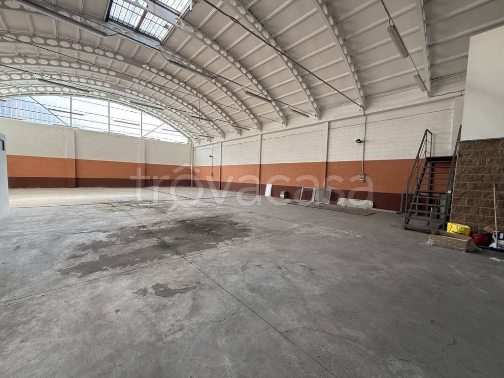 immagine annuncio 1 di 12