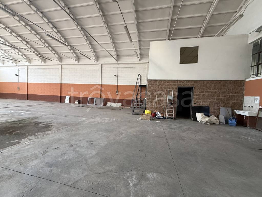 immagine annuncio 1 di 12