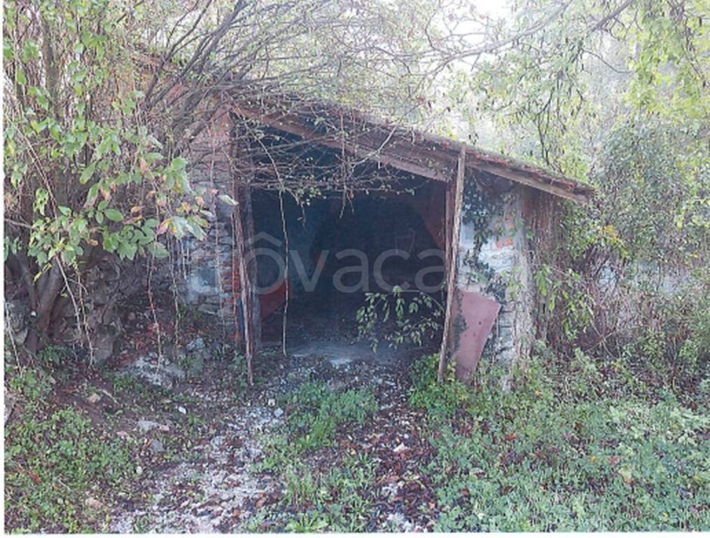 immagine annuncio 9 di 11