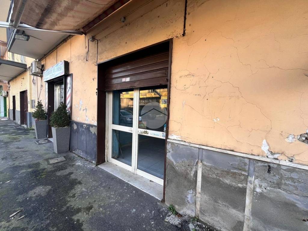 immagine annuncio 7 di 13