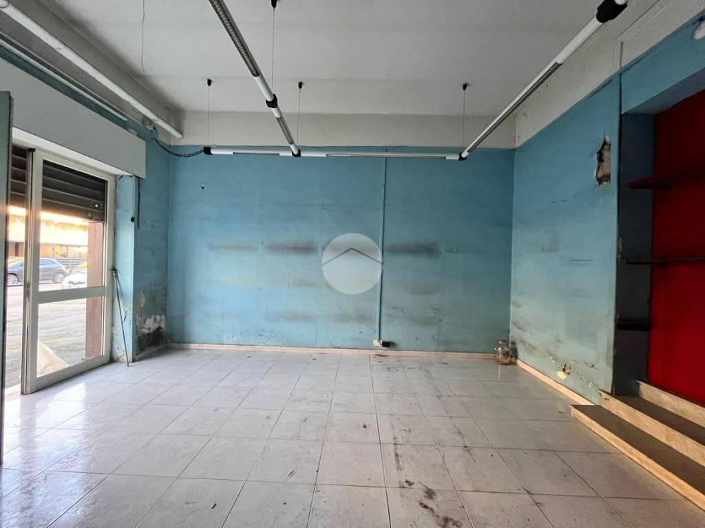 immagine annuncio 8 di 13