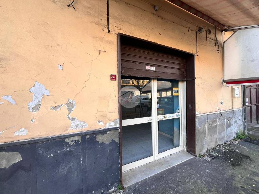 immagine annuncio 9 di 13