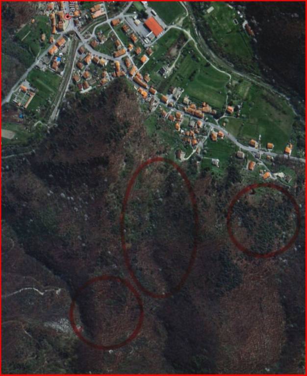 immagine annuncio 10 di 11