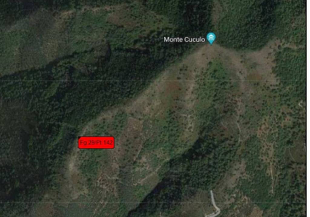 immagine annuncio 11 di 12