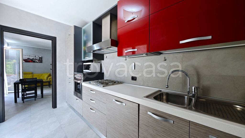 immagine annuncio 5 di 15