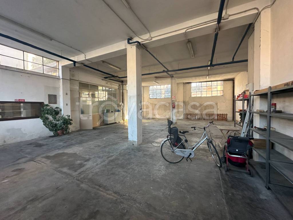 immagine annuncio 1 di 14