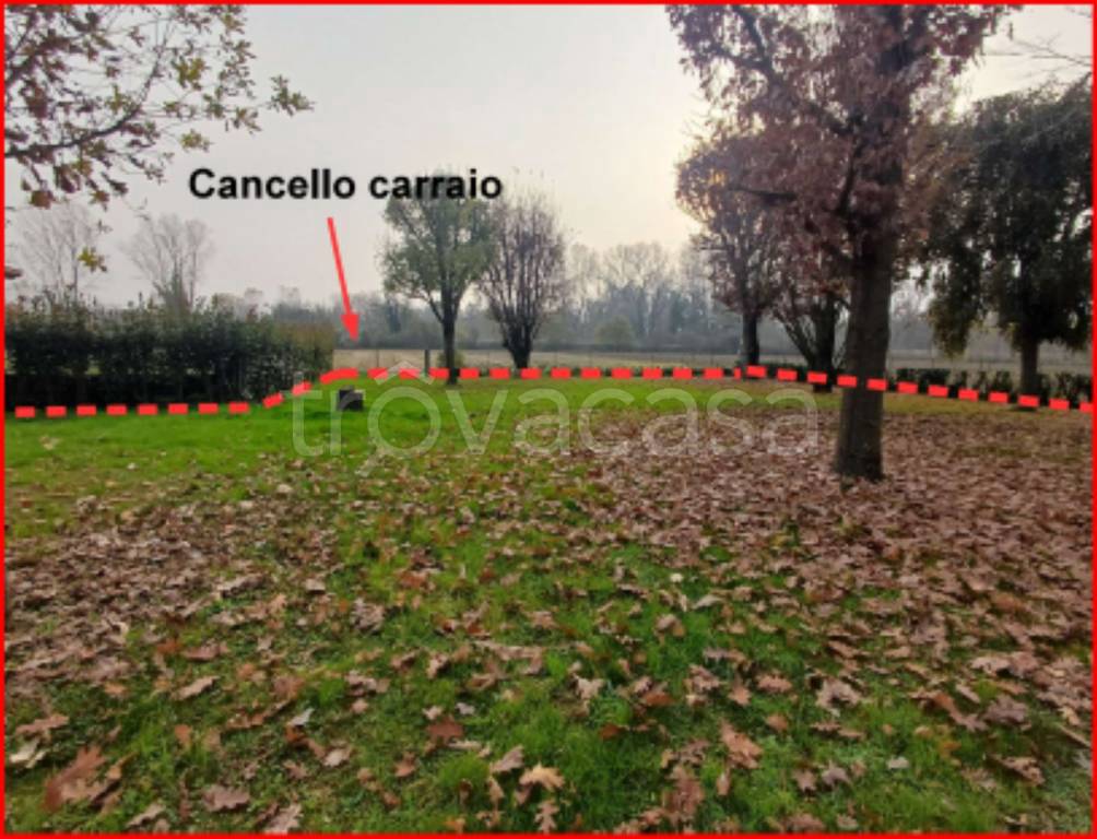 immagine annuncio 1 di 12