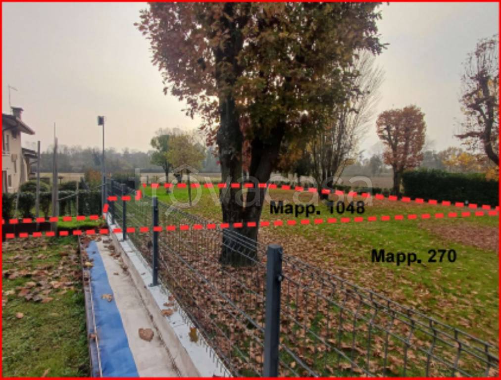 immagine annuncio 3 di 11